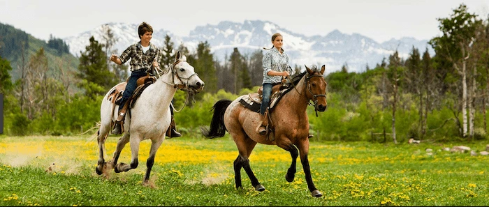 Confident plus-size woman riding Winslow a horse through a field with a smile on her face.